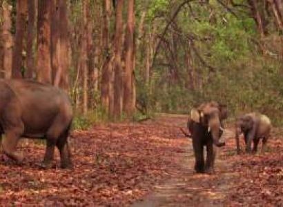 Wildlife - Nature Tour