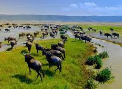 3-Day Arusha NP & Ngorongoro Ultimate Adventure Safari