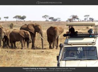 3-Day Tarangire, Eyasi (Hadzabe) & Ngorongoro Safari