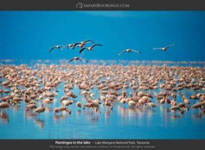 3-Day Classic Tarangire, Manyara & Ngorongoro Safari