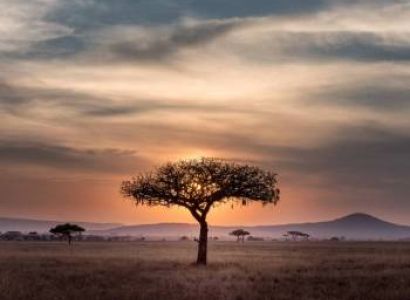 6 Days - 5 Nights Tanzania Wildlife Explorer Tour
