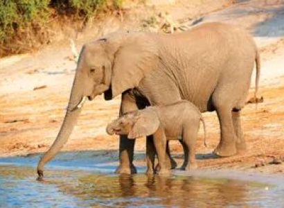 Easter Holiday Safaris Tour
