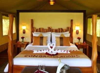 14 Days Honeymooners Safari Tour