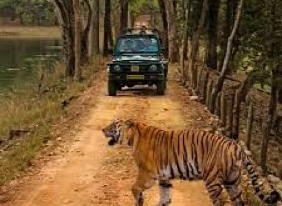 Safari Kaskazini Tour