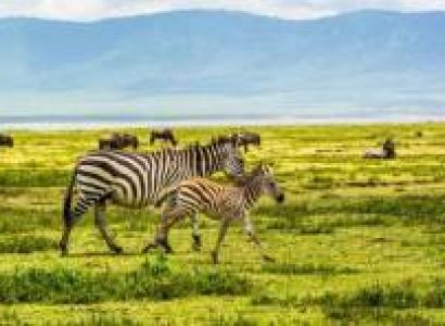 Northern Tanzania Grand Circuit Tour