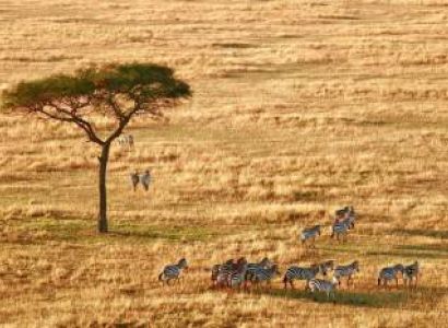 2 Day Tanzania Safari, Tarangire National Park and Ngorongoro Crater