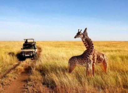 6 Night - 7 Days Kenya Tour Package