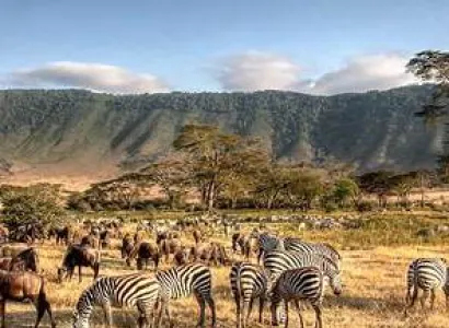 6 Day Ndutu Calving Season Safari Tour