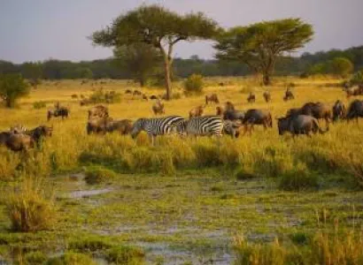 10 Day Ultimate Tanzania Safari And Zanzibar Holiday Tour