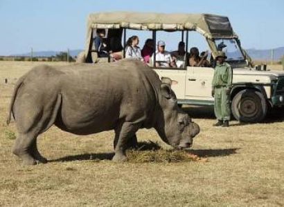 7 Day Classic Tanzania Safari Tour