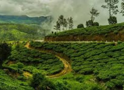 Darjeeling 3N - 4D Tour