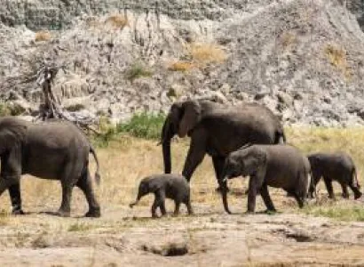 13 Days Northern Circuit Safari Tanzania Tour