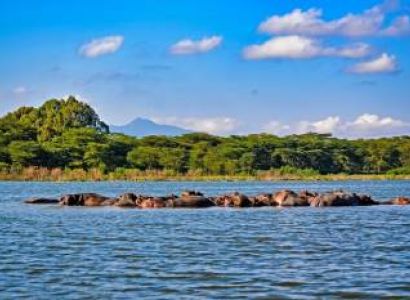 5 Days Lake Nakuru - Masai Mara - Lake Naivasha Tour