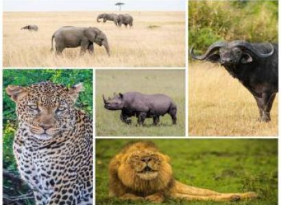 3 Days Rwanda Wildlife & Culture Experience