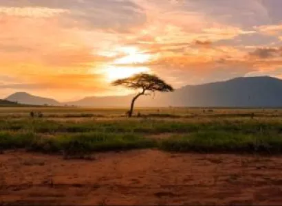 Amboseli Elephant Haven 3 Days Tour