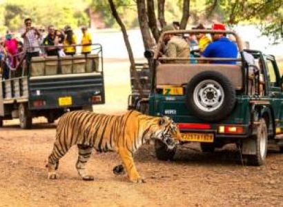 Overnight Ranthambore Expedition Tour