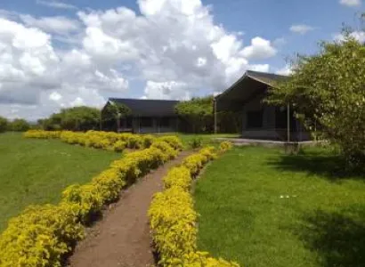 1 Night/day from Nairobi to Masai Mara and Back to Nairobi