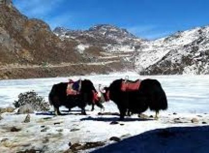 Sikkim Snowcap Trail 6N - 7D Tour
