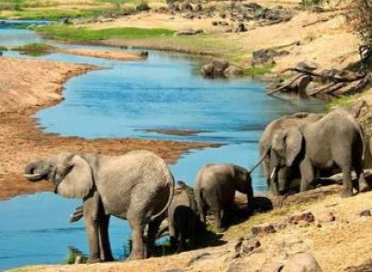 Saadani National Park - Zanzibar Experience Tour