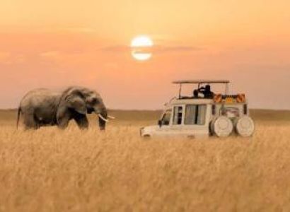 Tanzania Safari - Zanzibar 10 Days - 9 Nights Luxury Safari - Beach Experience Tour