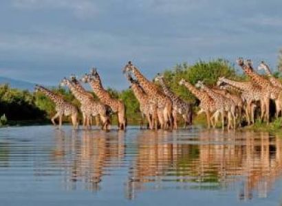 Nyerere National Park Safari Experience 4 Days - 3 Nights Private Safari Package