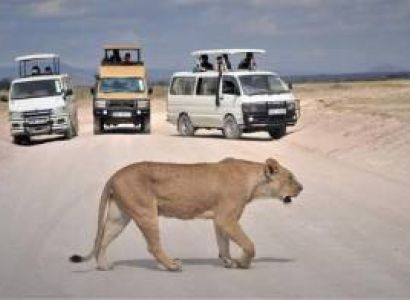 2 nights and 3 days safari to Amboseli