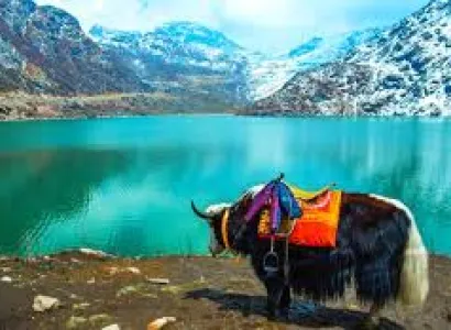 Discover Eastern Himalaya In 11 Days Tour