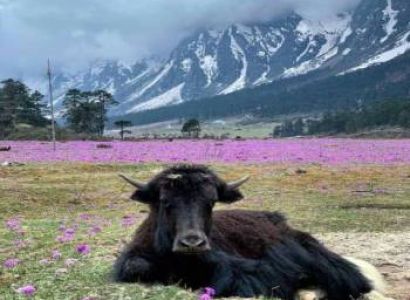 2 Nights 3 Days North Sikkim tour