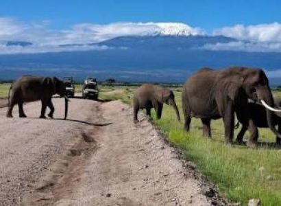 3 Days Wings Over Amboseli Safari Tour