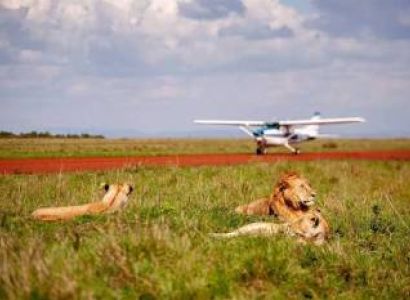 3 Days Maasai Mara Fly-In Safari Tour