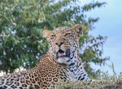 2 Days Safari To Amboseli Tour