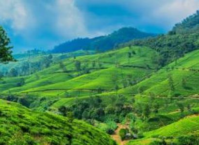 7 Night - 8 Days Sri Lanka Tour Package