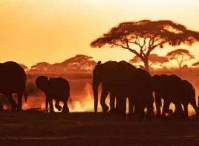 2Nights 3Days Amboseli National Park