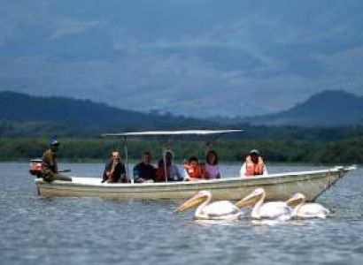 3 Days / 2 Nights Lake Nakuru & Lake Naivasha Safari