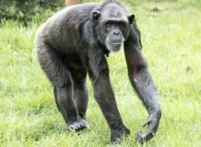 2 Nights 3 Days / Ol Pejeta Safari from Nairobi