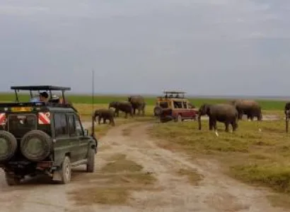 3 Nights / 4 Days Amboseli & Lake Naivasha Safari package