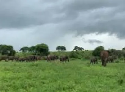 9 Days Masai Mara Serengeti And Ngorongoro Safari Tour