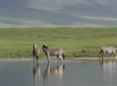 7 Days Luxury Lodge Safari Tour