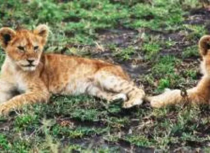 10 Days Private Budget Safari And Zanzibar Holiday Tour