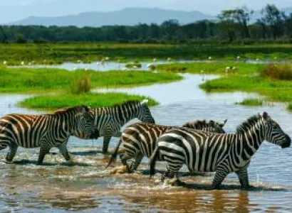 4-Day Majestic Tanzania - Mid-Range Tour