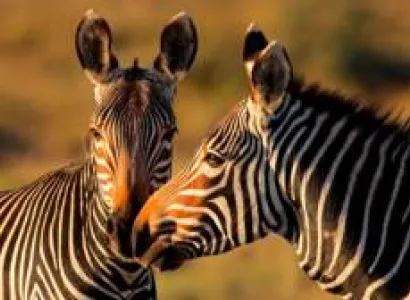 9 Days Northern Adventure Tour