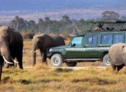 6 Days Amboseli - Lake Nakuru And Masai Mara Private Safari Tour