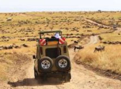 7 Days Economic Kenya Safari Tour