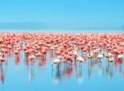 7 Days Kenya Lodge Safari Tour