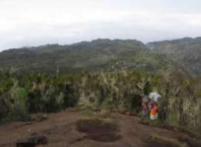 6 Days Kilimanjaro Climb Rongai Route Itinerary Tour