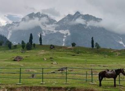 Romantic Escape To Kashmir 5 Night - 6 Days Tour