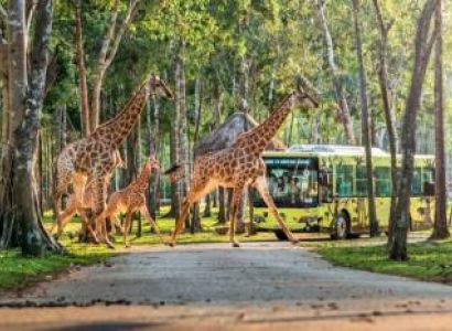 Vietnam North Heritage To South Paradise Love Story 7N - 8D Tour