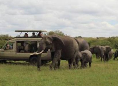 4 Day Maasai Mara & Lake Nakuru Private Safari