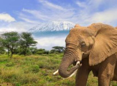 Amboseli Private Safari