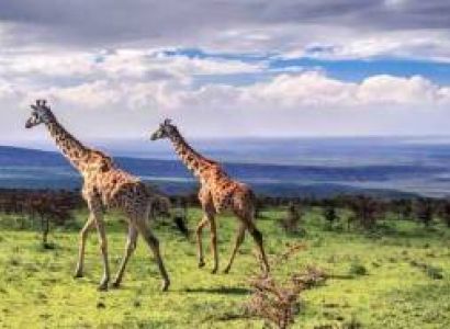The Great Migration Spectacle: A 6-Day Luxury Safari